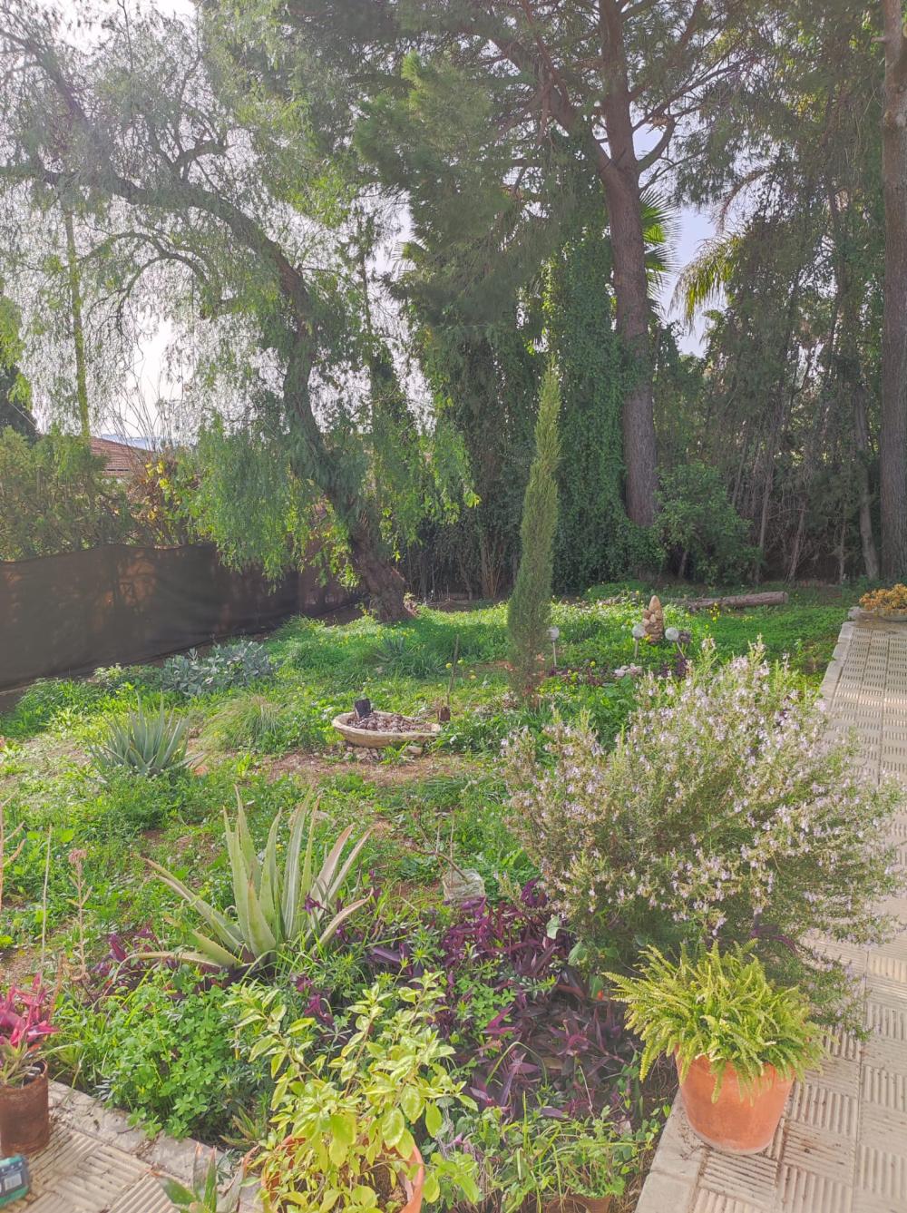  à vendre villa Alcalá De Guadaira Metropolitana De Sevilla 16
