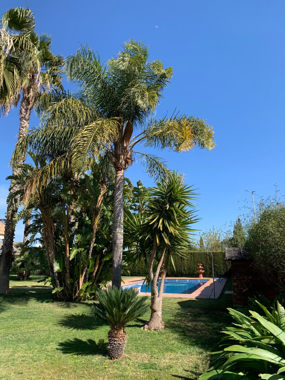 à vendre villa San Antonio De Benagéber Camp De Túria 3