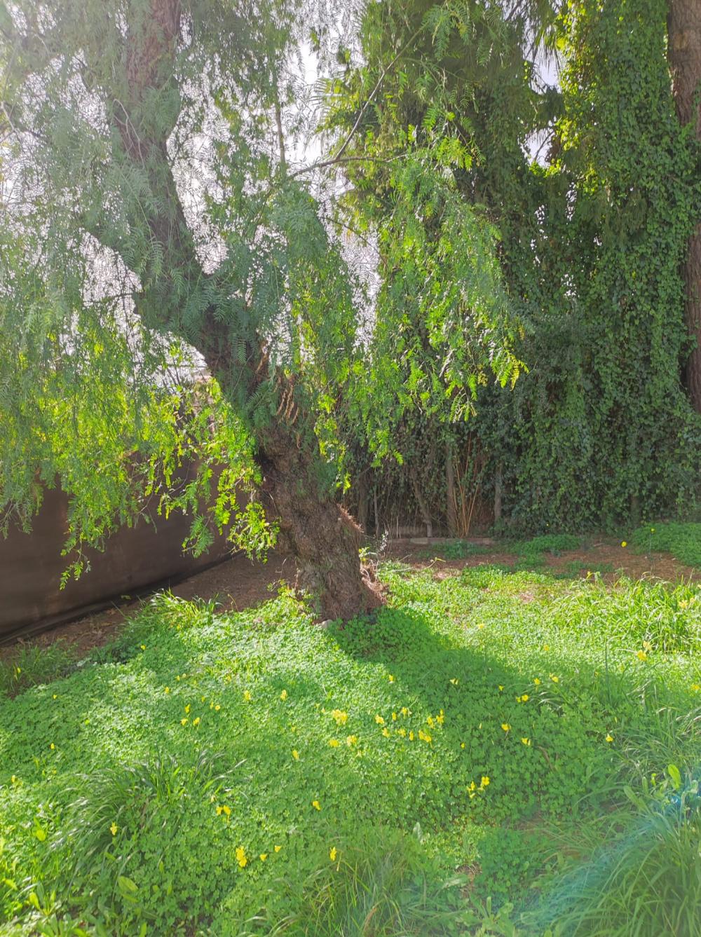  à vendre villa Alcalá De Guadaira Metropolitana De Sevilla 3