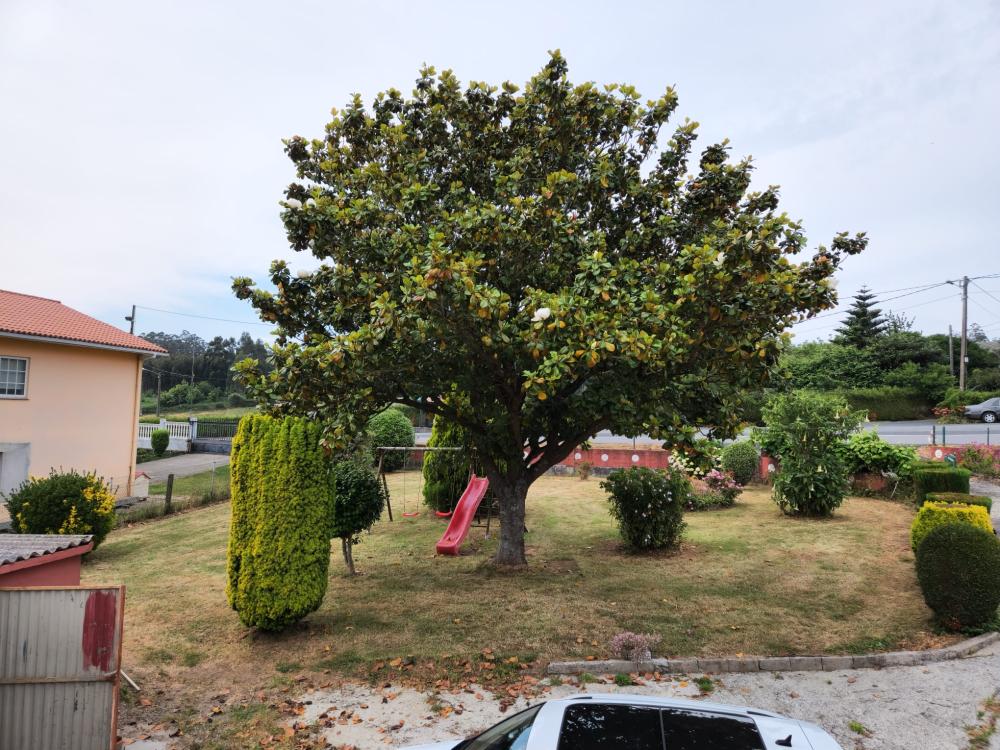  à vendre maison Cedeira Ferrol 6
