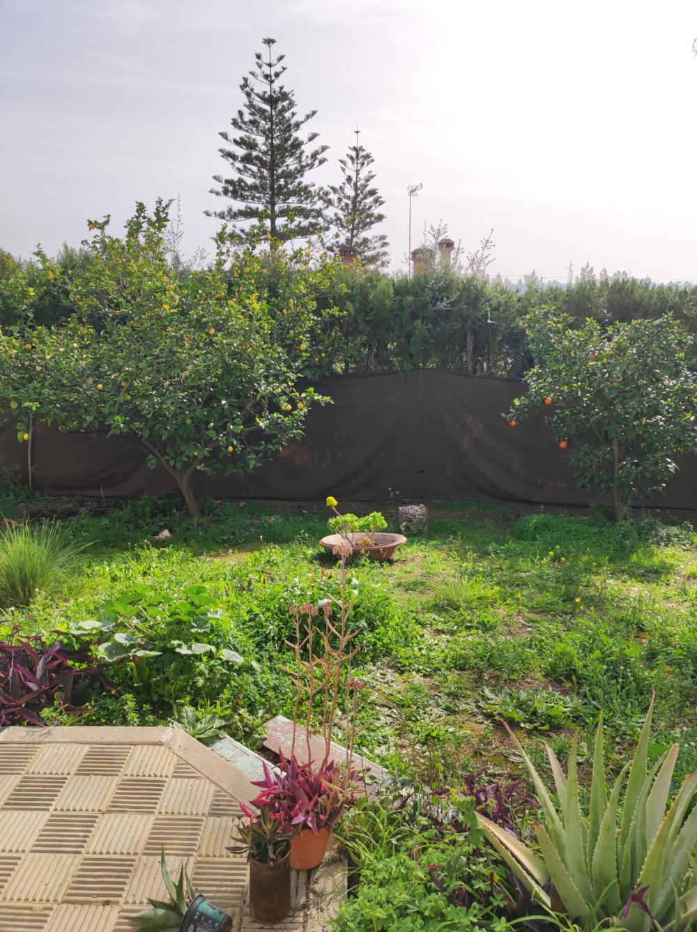  à vendre villa Alcalá De Guadaira Metropolitana De Sevilla 9