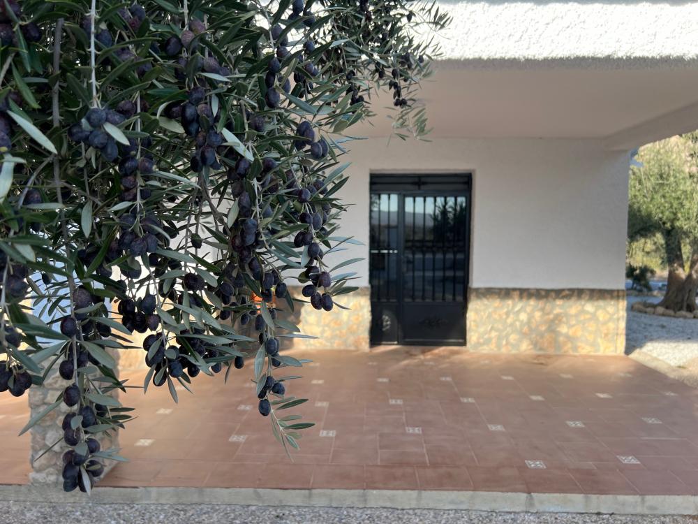  à vendre villa Vélez Blanco Comarca De Los Vélez 5