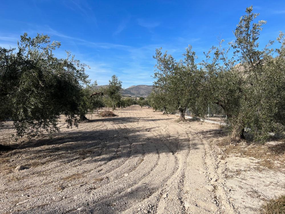  à vendre villa Vélez Blanco Comarca De Los Vélez 21