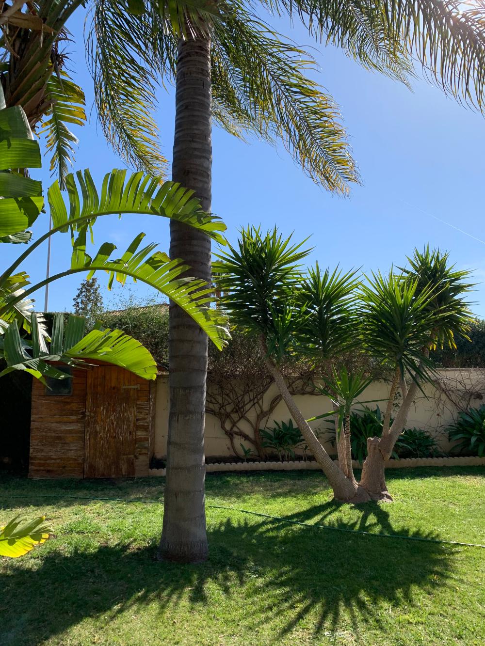  à vendre villa San Antonio De Benagéber Camp De Túria 127