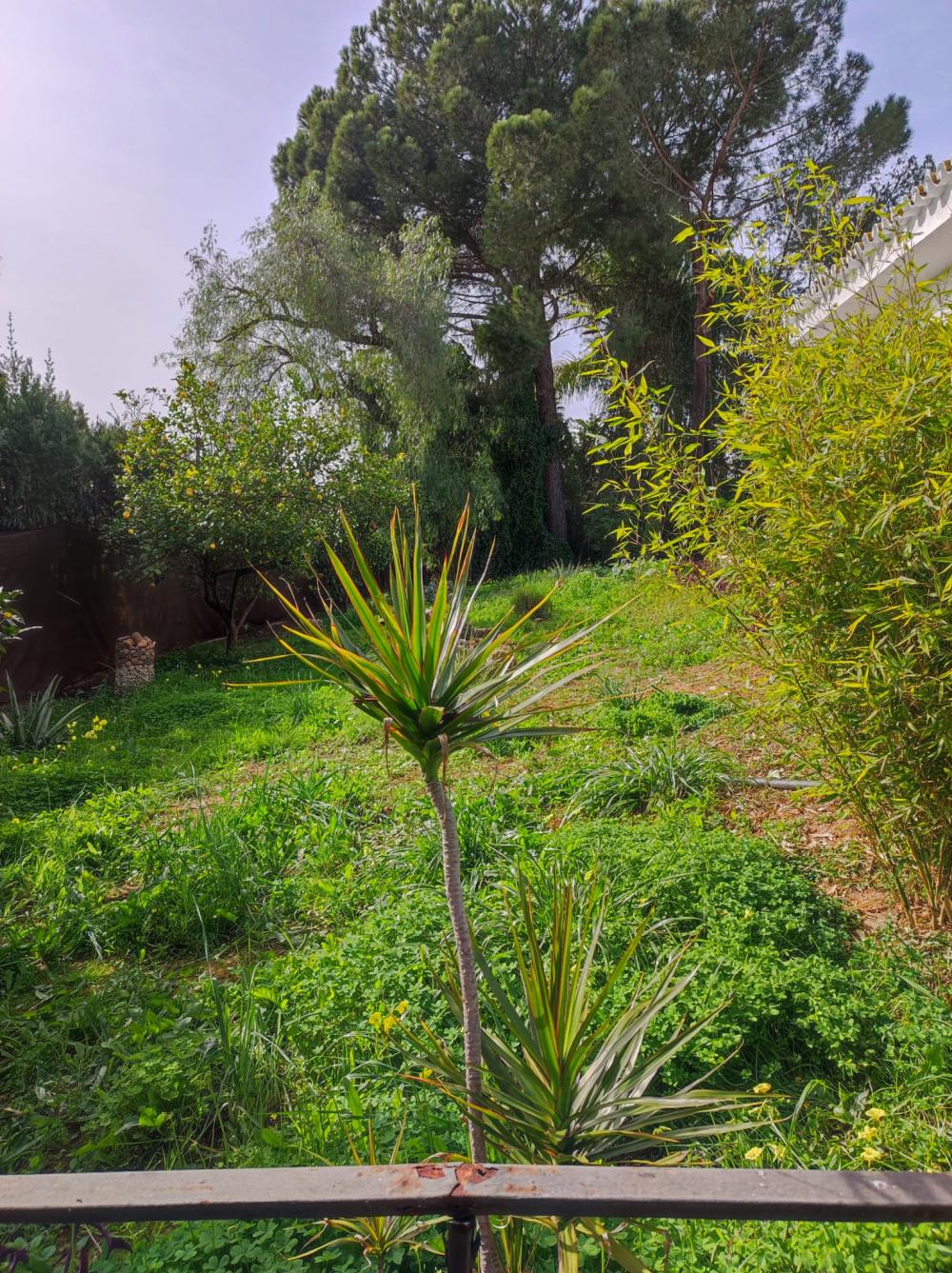  à vendre villa Alcalá De Guadaira Metropolitana De Sevilla 4