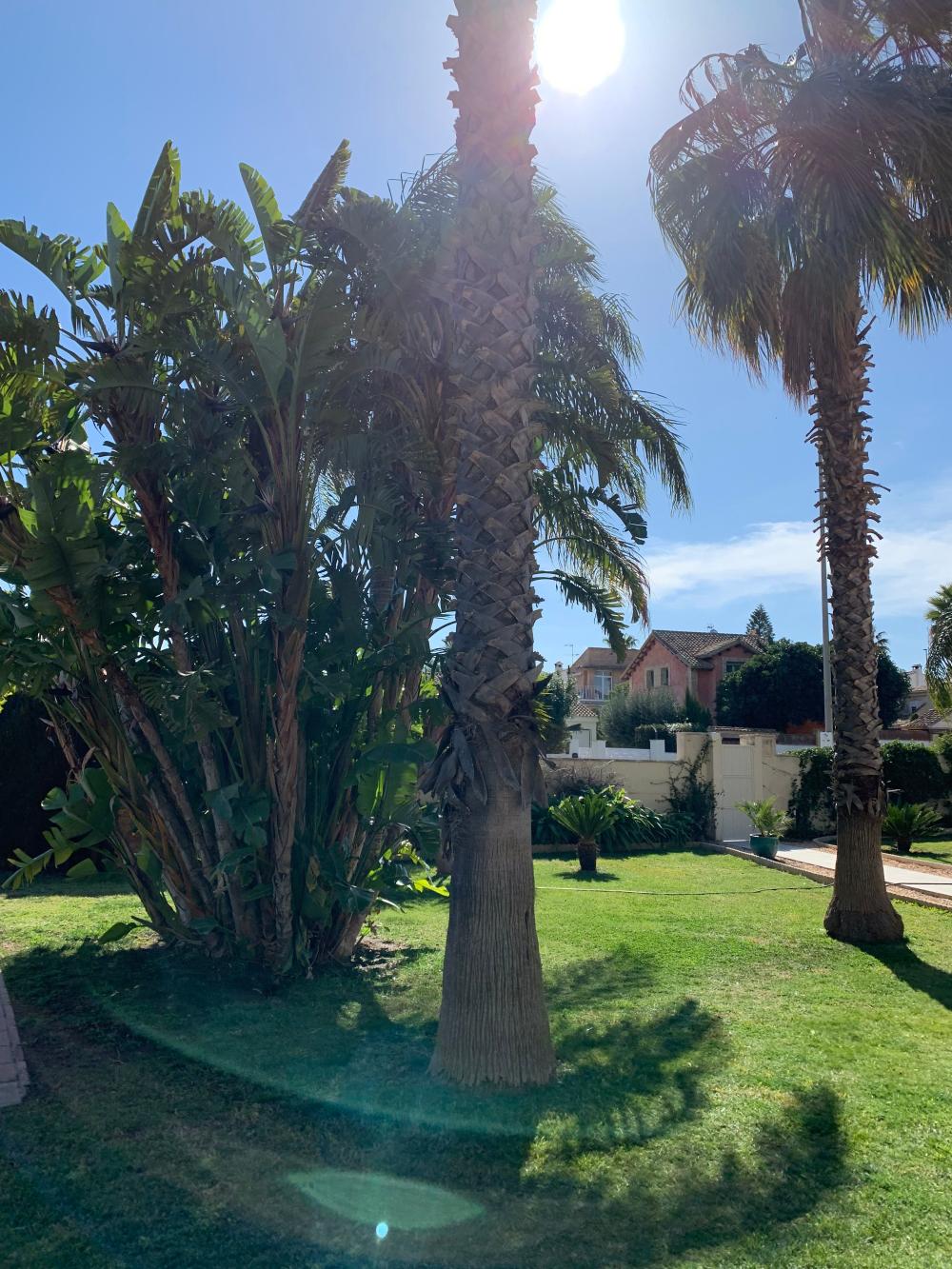  à vendre villa San Antonio De Benagéber Camp De Túria 125