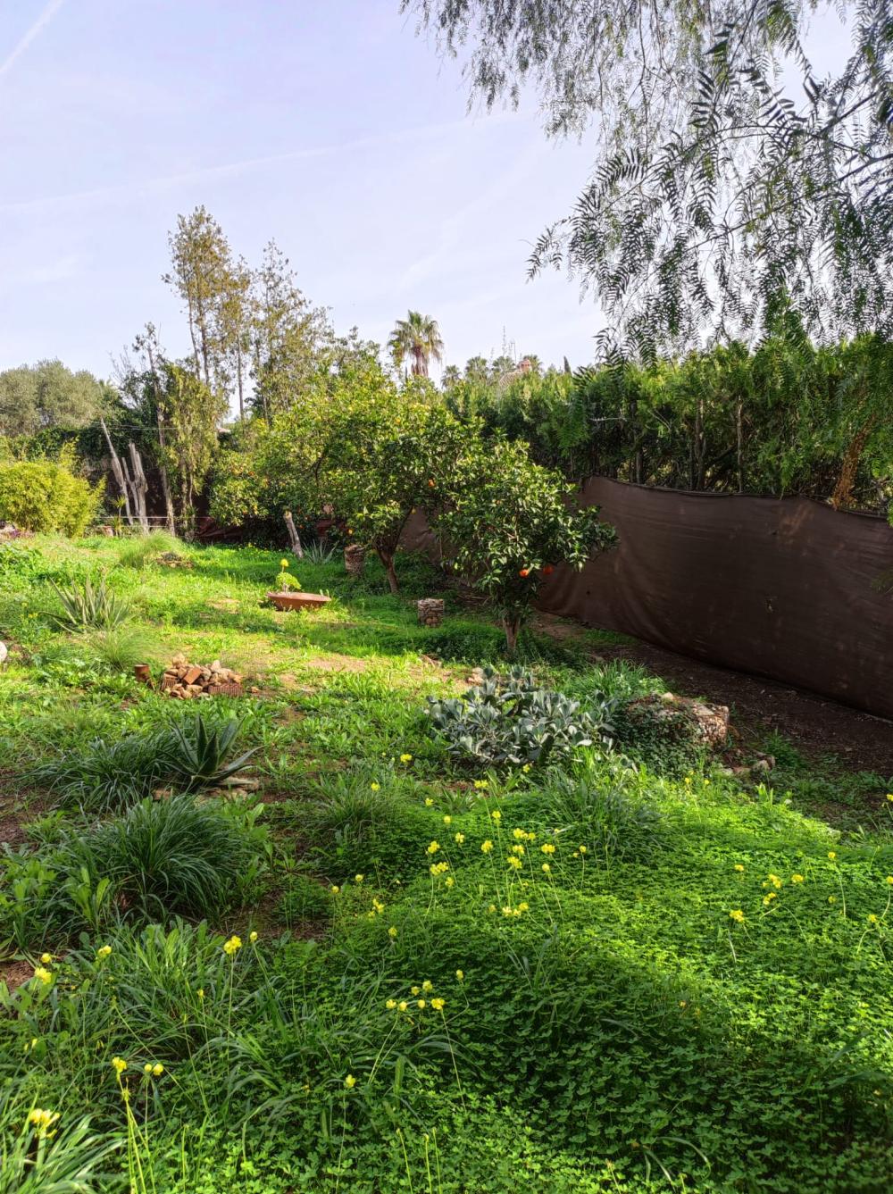  à vendre villa Alcalá De Guadaira Metropolitana De Sevilla 13