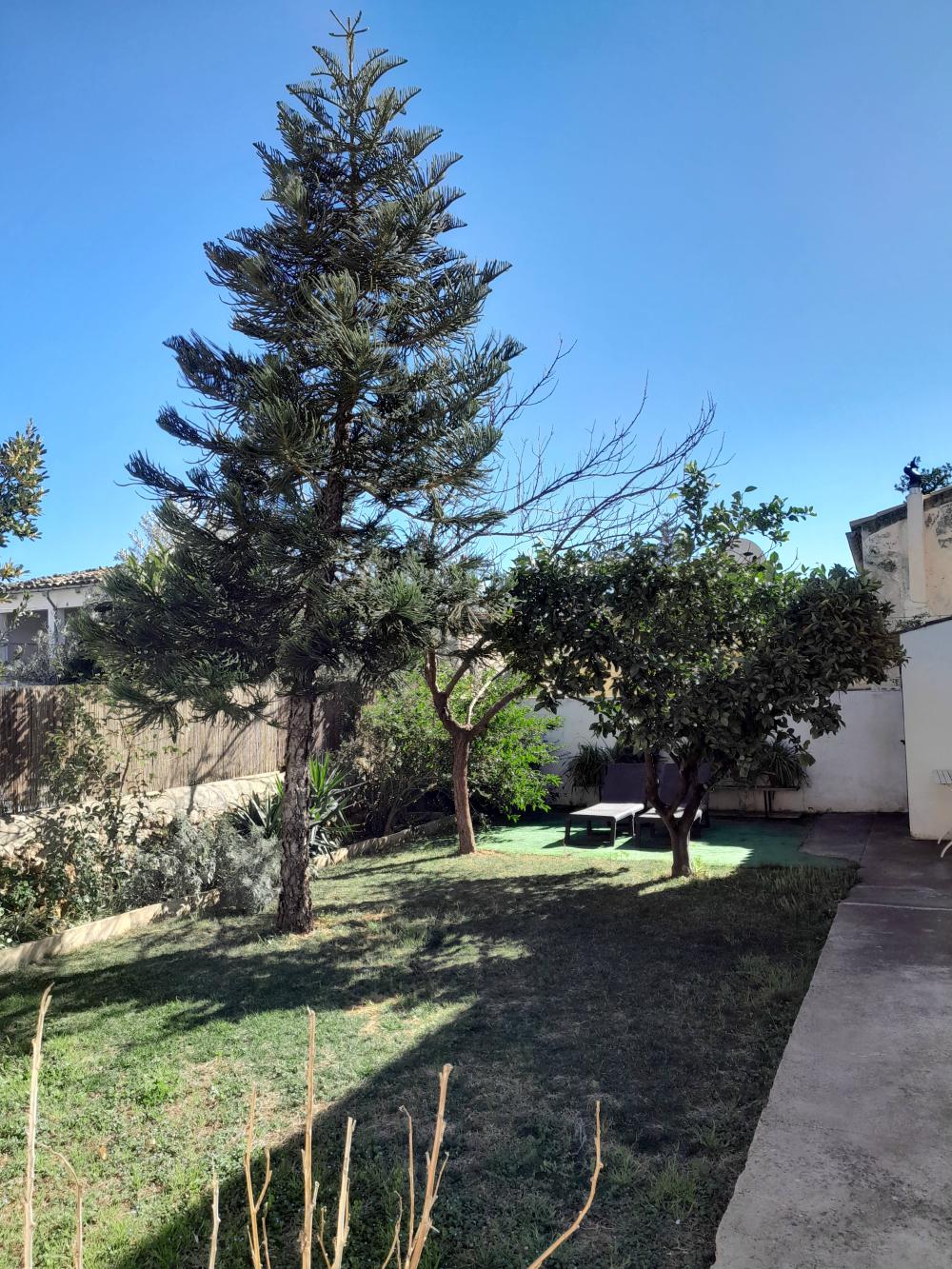 à vendre maison Alaró Raiguer 19