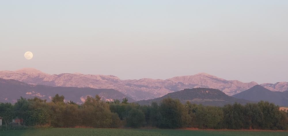 à vendre maison de campagne Arcos De La Frontera Sierra De Cádiz 41