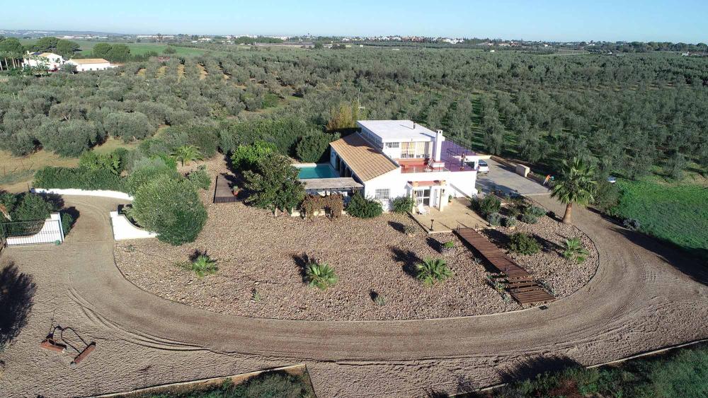  à vendre maison de campagne Aznalcázar Aljarafe 22
