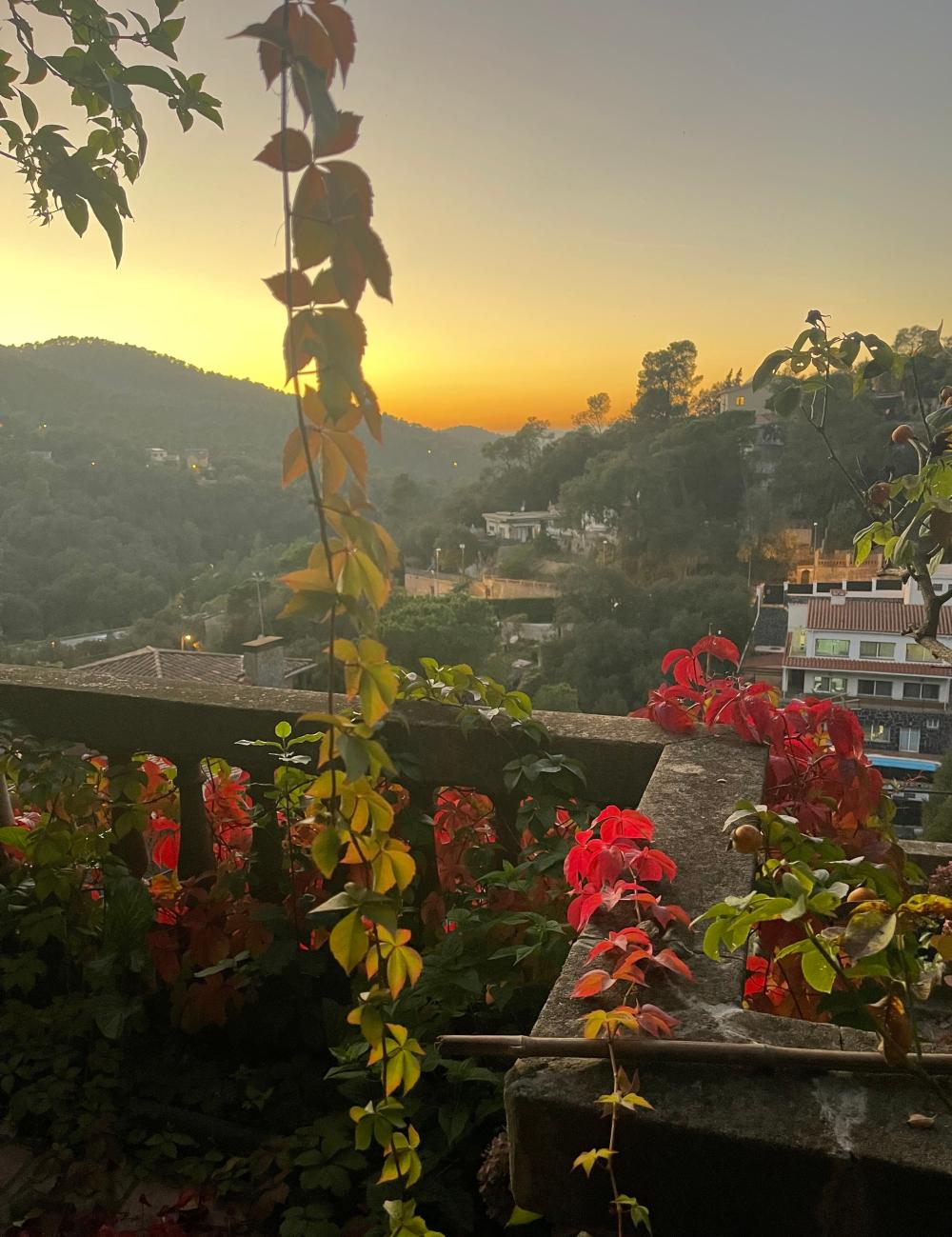  à vendre maison Sarrià-Sant Gervasi-Vallvidrera-Tibidabo-Les Planes Barcelonès 30
