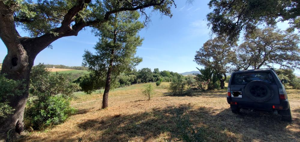  à vendre maison de campagne Arcos De La Frontera Sierra De Cádiz 39