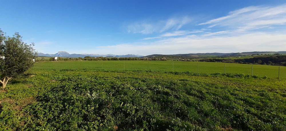  à vendre maison de campagne Arcos De La Frontera Sierra De Cádiz 46