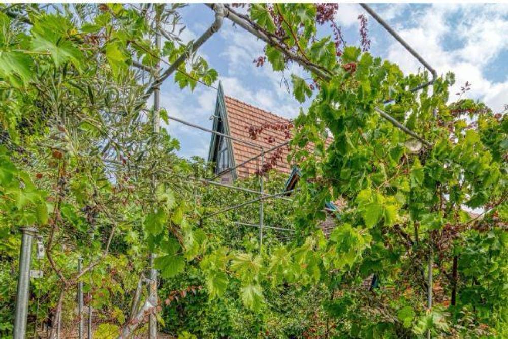  à vendre maison de maître Villafranca Del Castillo Cuenca Del Guadarrama 25