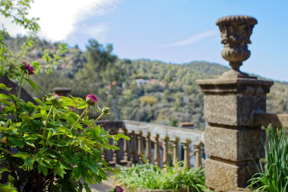  à vendre maison Sarrià-Sant Gervasi-Vallvidrera-Tibidabo-Les Planes Barcelonès 23