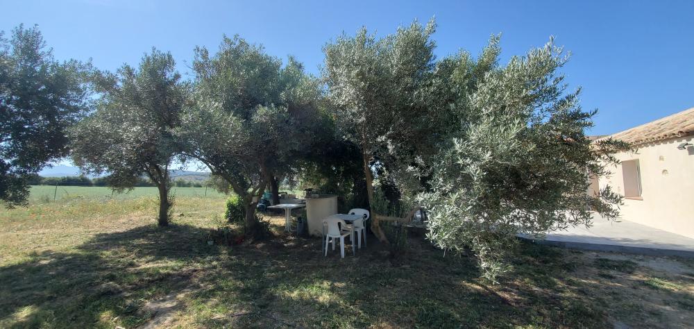  à vendre maison de campagne Arcos De La Frontera Sierra De Cádiz 13