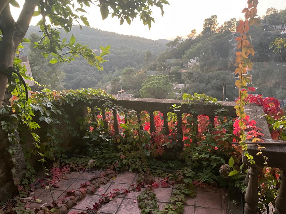  à vendre maison Sarrià-Sant Gervasi-Vallvidrera-Tibidabo-Les Planes Barcelonès 18