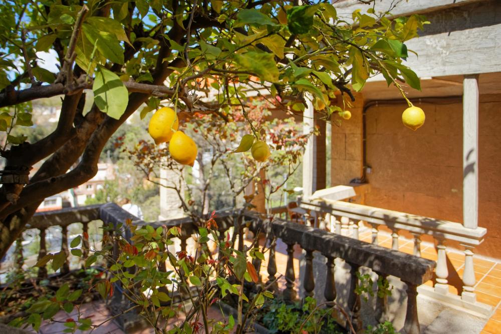  à vendre maison Sarrià-Sant Gervasi-Vallvidrera-Tibidabo-Les Planes Barcelonès 28