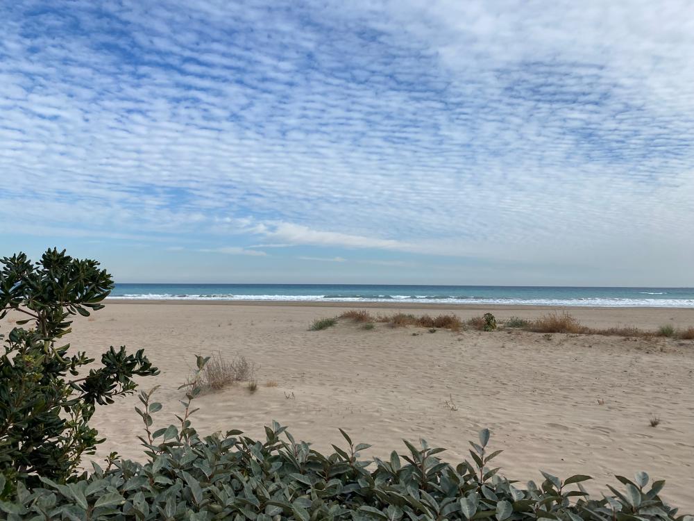  à vendre penthouse El Puerto De Sagunto Camp De Morvedre 44
