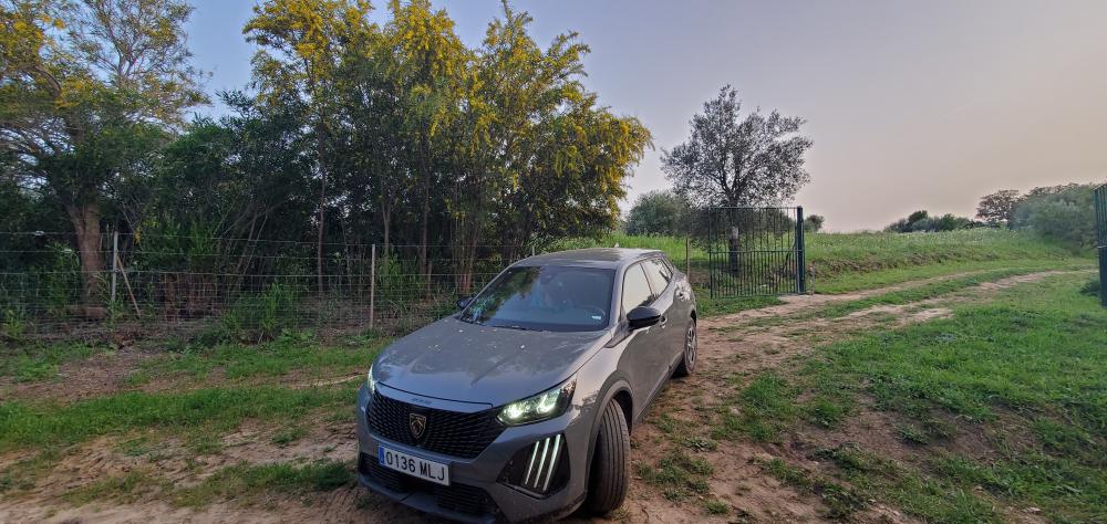  à vendre maison de campagne Arcos De La Frontera Sierra De Cádiz 31