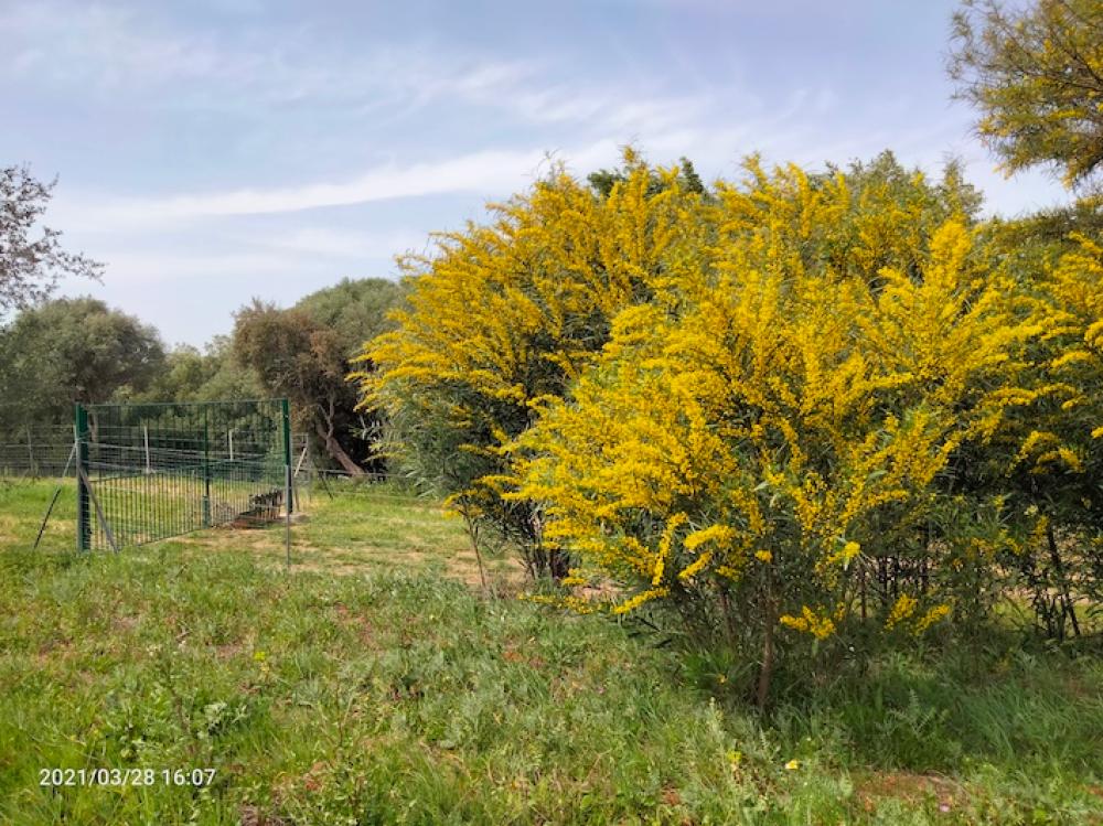  à vendre maison de campagne Arcos De La Frontera Sierra De Cádiz 37