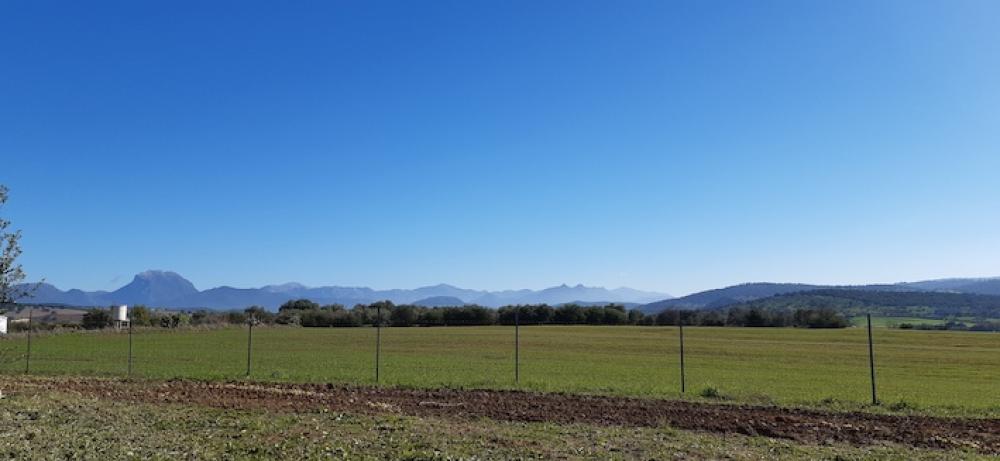 à vendre maison de campagne Arcos De La Frontera Sierra De Cádiz 35