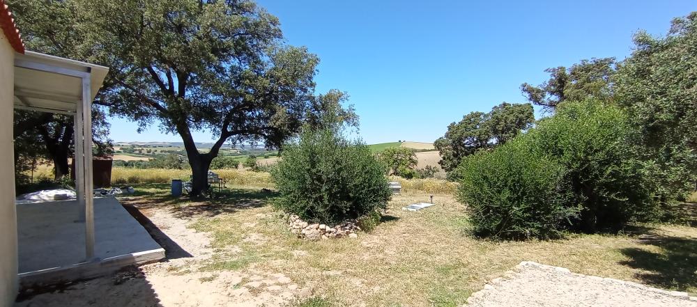  à vendre maison de campagne Arcos De La Frontera Sierra De Cádiz 16