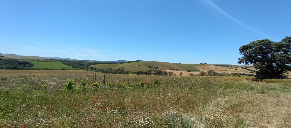  à vendre maison de campagne Arcos De La Frontera Sierra De Cádiz 48