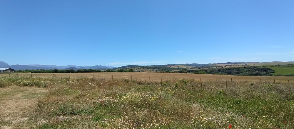 à vendre maison de campagne Arcos De La Frontera Sierra De Cádiz 49
