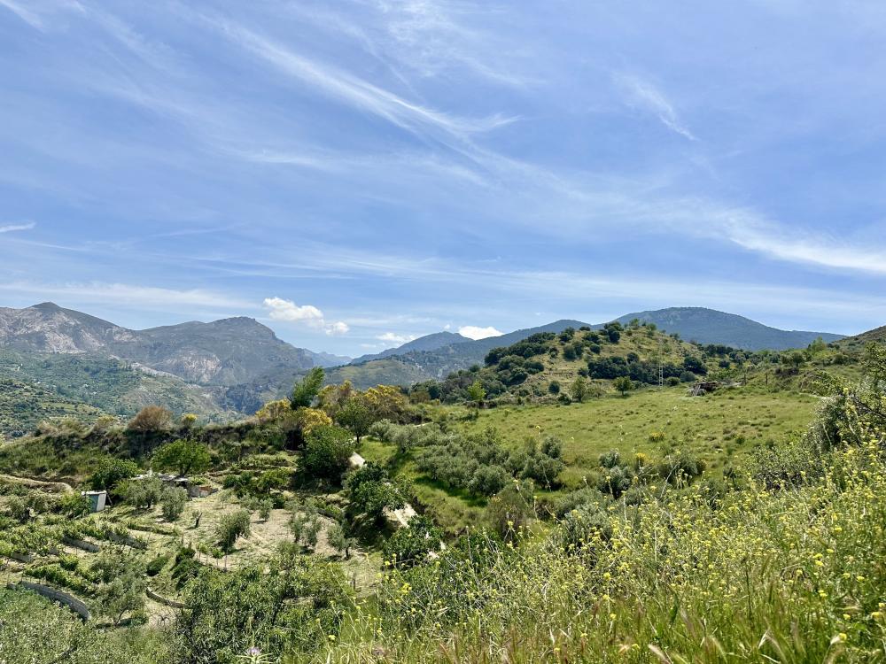  à vendre maison de campagne Monachil Vega De Granada 25