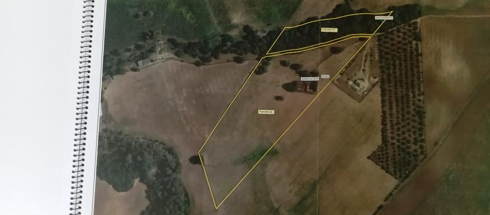  à vendre maison de campagne Arcos De La Frontera Sierra De Cádiz 52