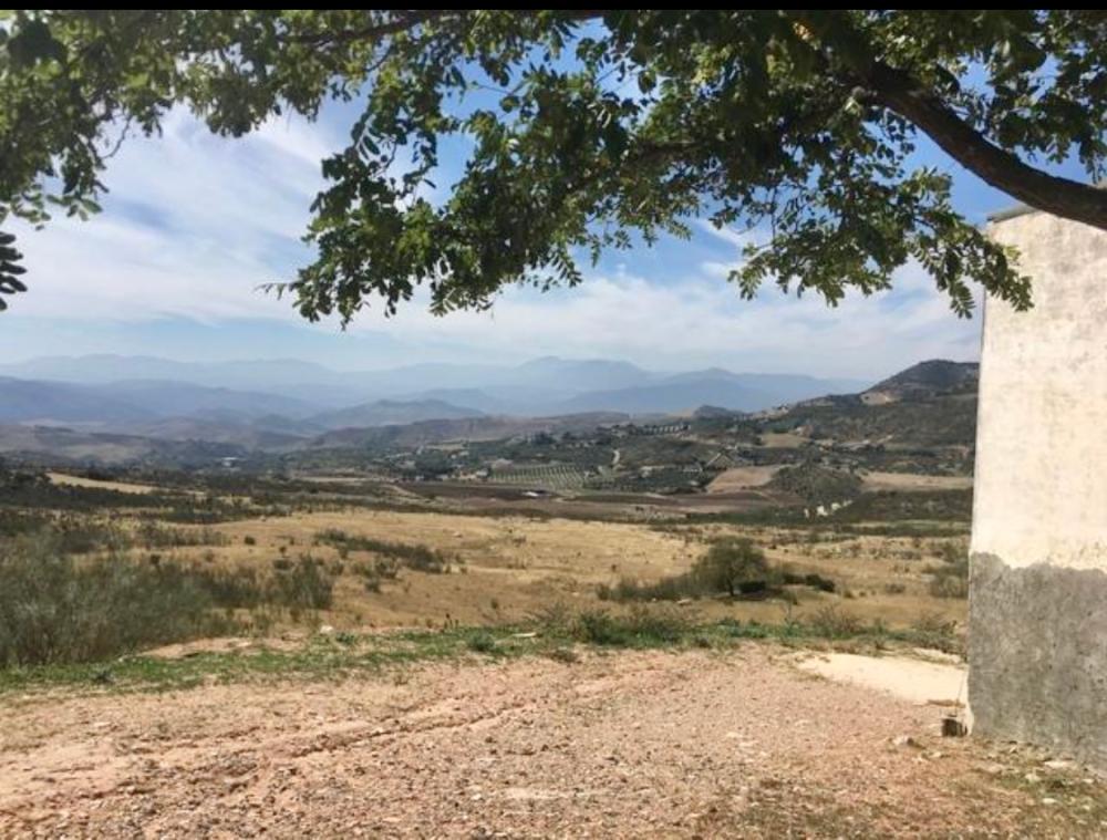  à vendre maison de campagne Villanueva De La Concepción Antequera 5