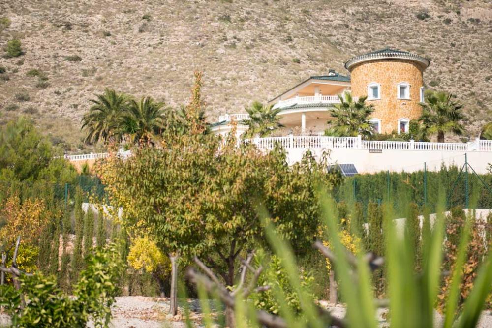  à vendre villa Hondón De Las Nieves Vinalopó Mitjà 16