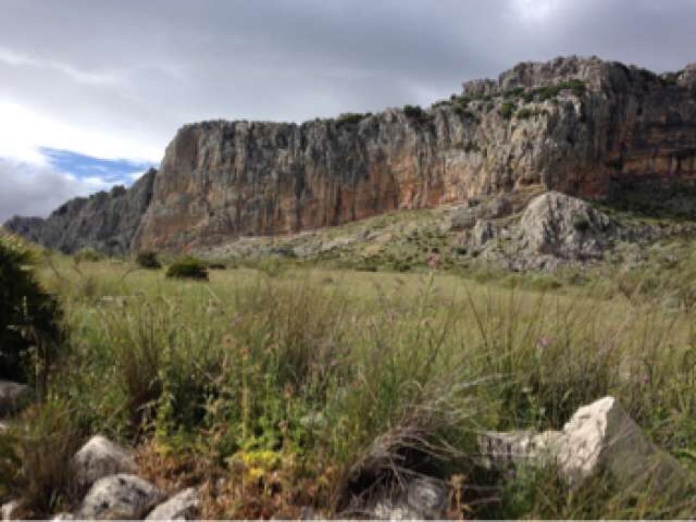  à vendre maison de campagne Villanueva De La Concepción Antequera 2
