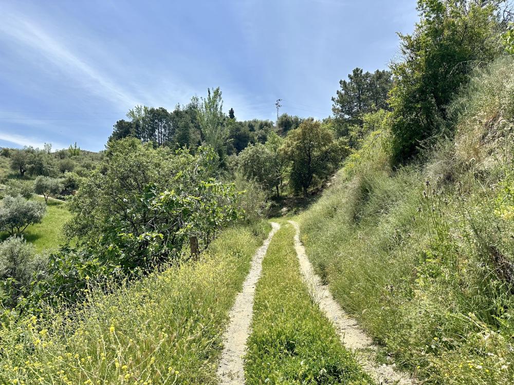  à vendre maison de campagne Monachil Vega De Granada 27