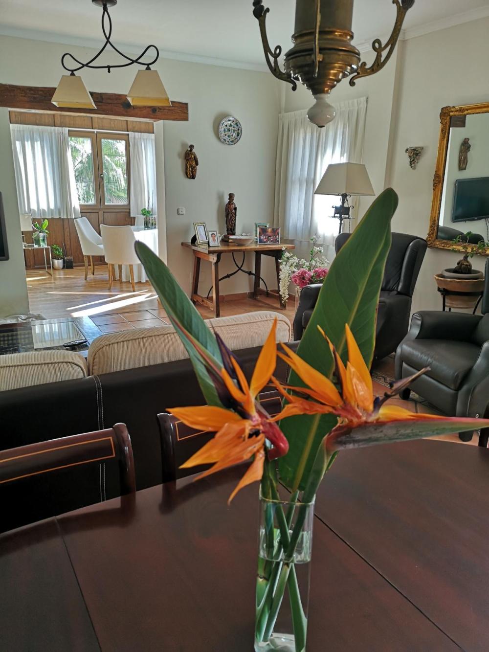  à vendre villa La Envia Poniente Almeriense 9