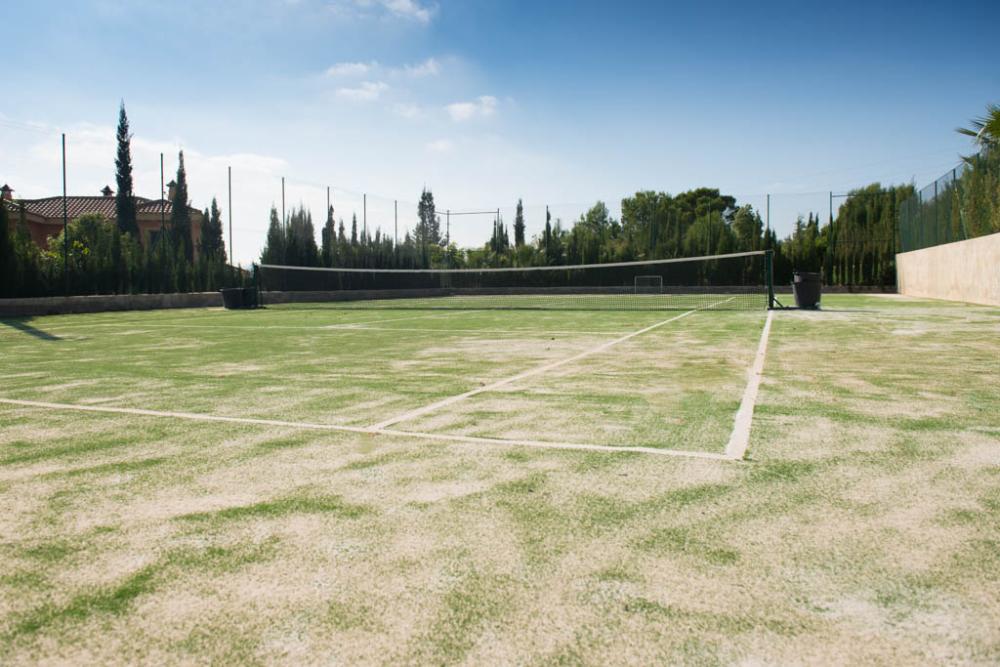  à vendre villa Hondón De Las Nieves Vinalopó Mitjà 12