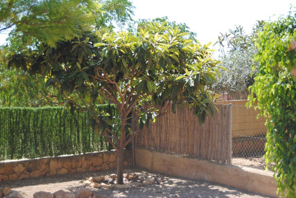  à vendre maison jumelée Alfaz Del Pi Marina Baixa 8