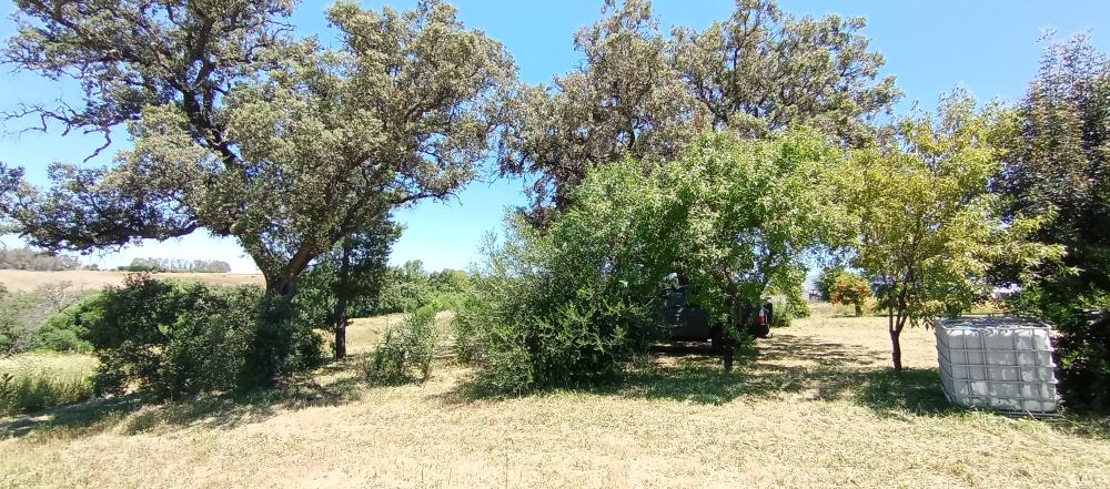  à vendre maison de campagne Arcos De La Frontera Sierra De Cádiz 50