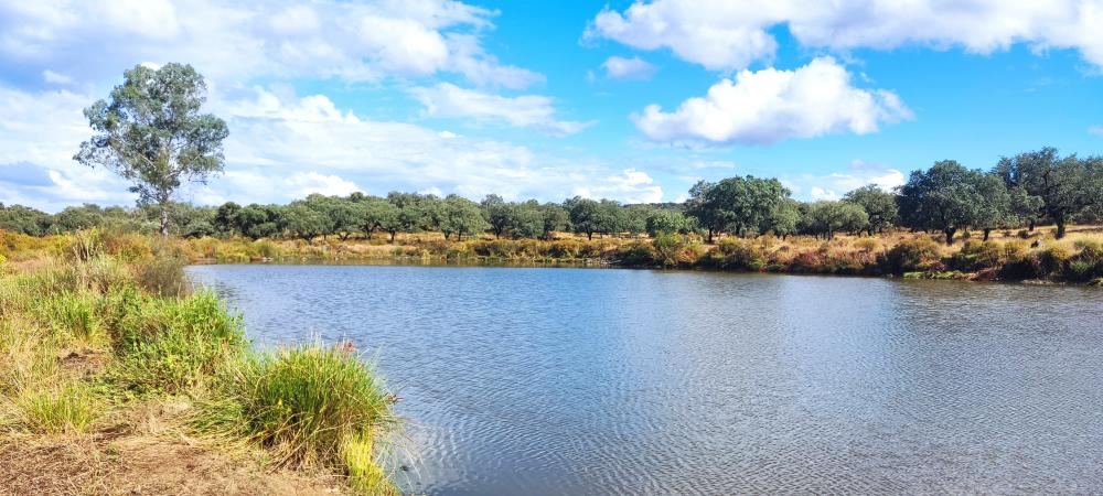  à vendre maison de campagne Santa Olalla Del Cala Sierra De Huelva 2