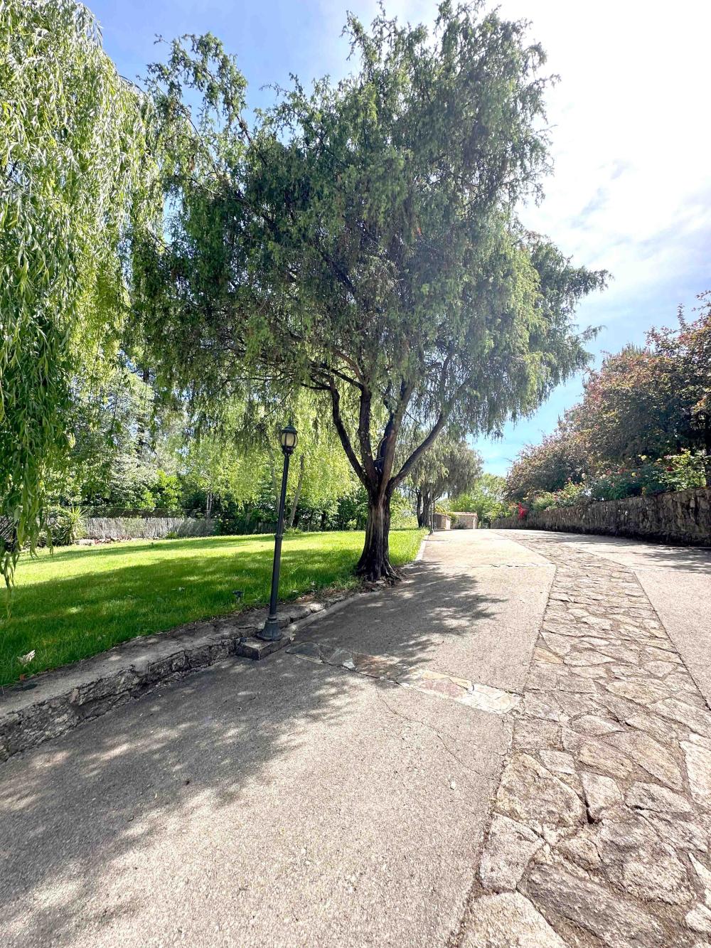 à vendre maison de campagne Villanueva De La Vera La Vera 6