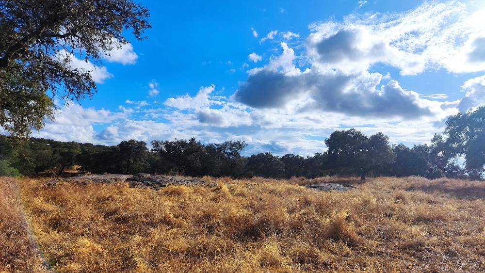  à vendre maison de campagne Santa Olalla Del Cala Sierra De Huelva 12