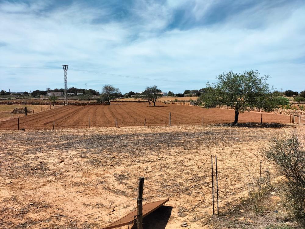  à vendre maison Sant Francesc De Formentera Formentera 8
