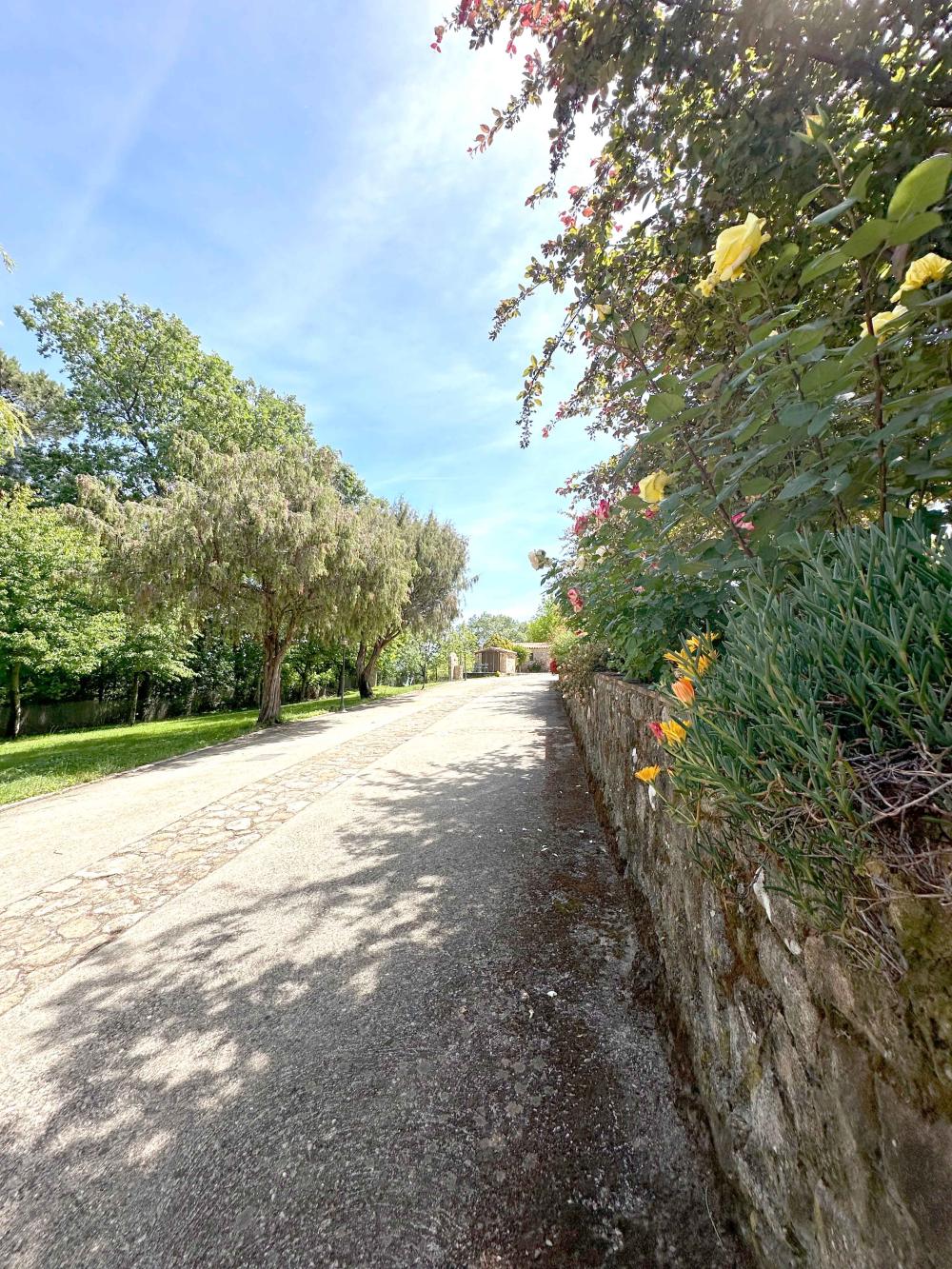  à vendre maison de campagne Villanueva De La Vera La Vera 8