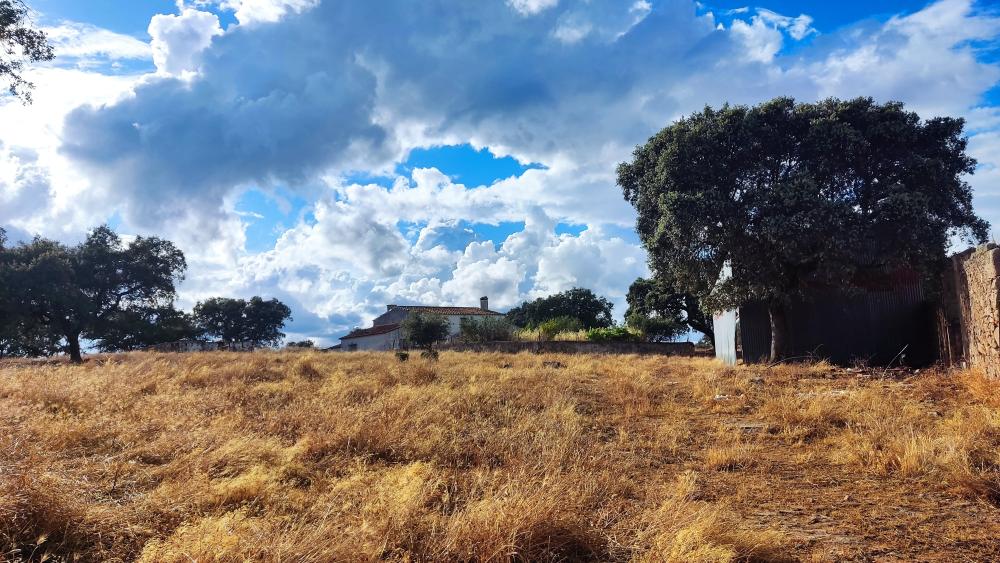 à vendre maison de campagne Santa Olalla Del Cala Sierra De Huelva 5