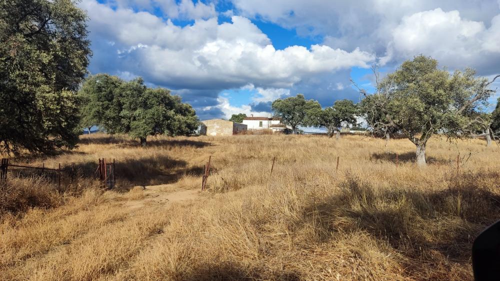  à vendre maison de campagne Santa Olalla Del Cala Sierra De Huelva 8