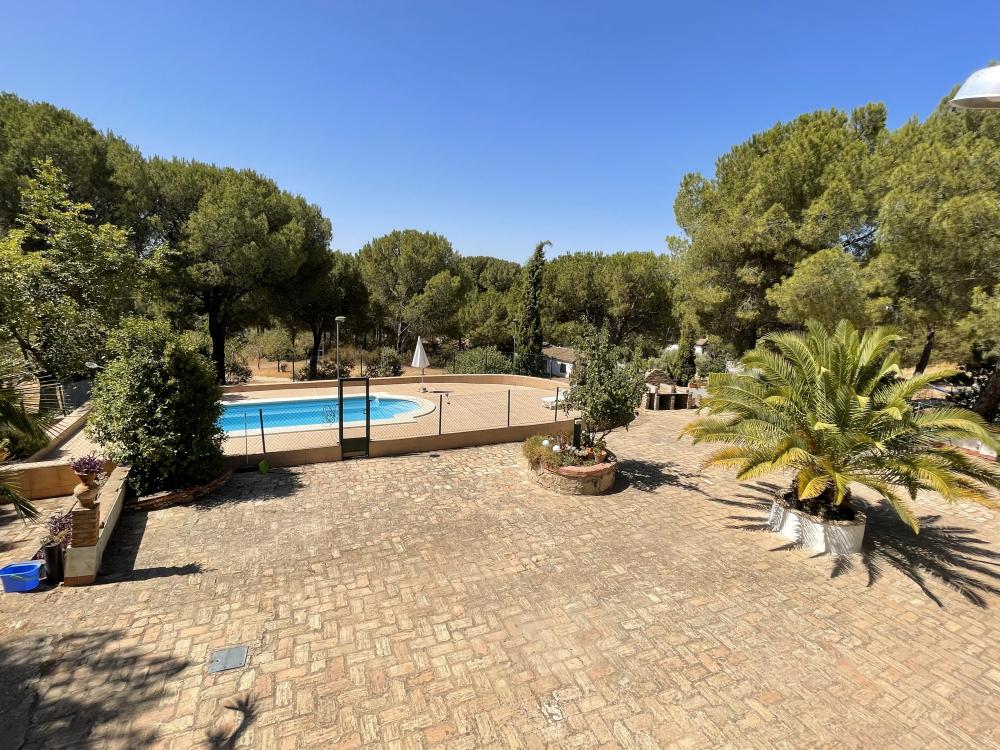  à vendre maison de campagne Andújar Campiña De Jaén 3