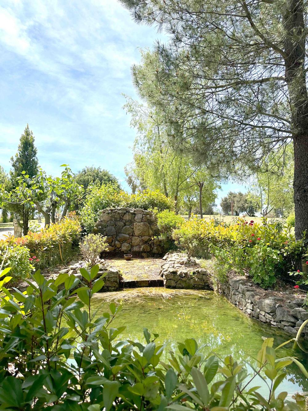  à vendre maison de campagne Villanueva De La Vera La Vera 20