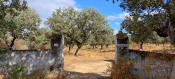 Santa Olalla Del Cala Sierra De Huelva maison de campagne foto 5944163