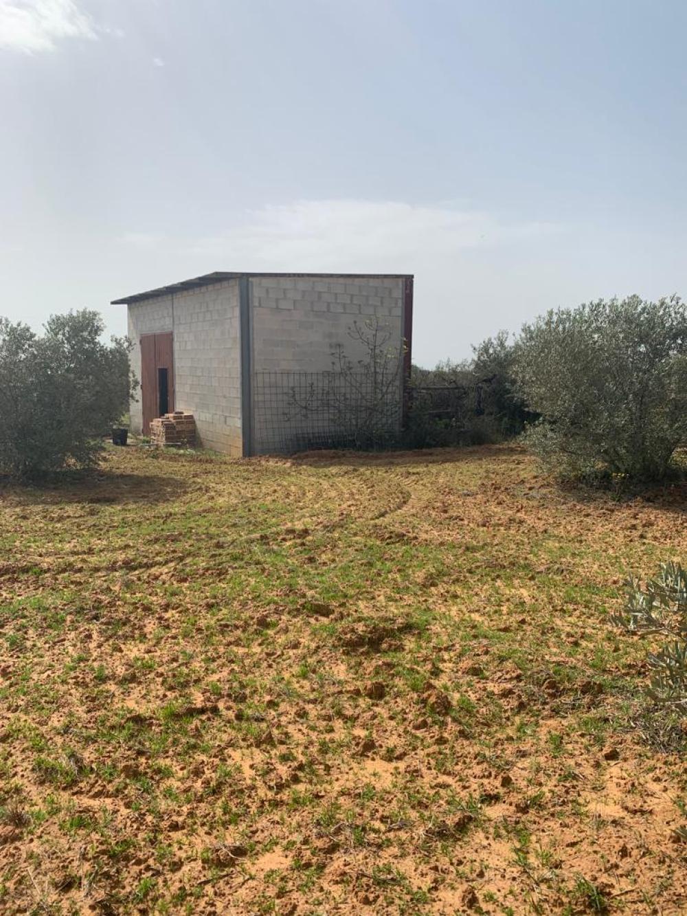  à vendre maison de campagne Hinojos Condado (El) 2